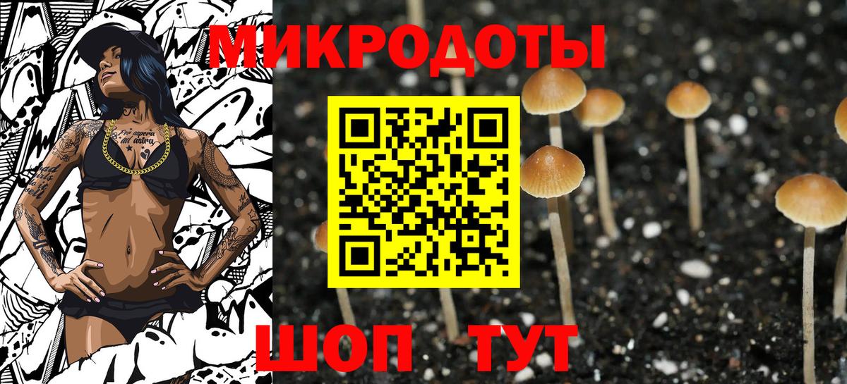 Белорецк  Галлюциногенные грибы прущие грибы  Вход с VPN 